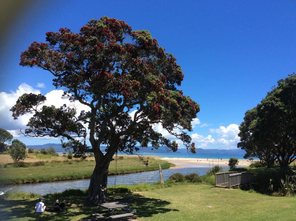 Albert Mews B And B Whitianga Exterior photo