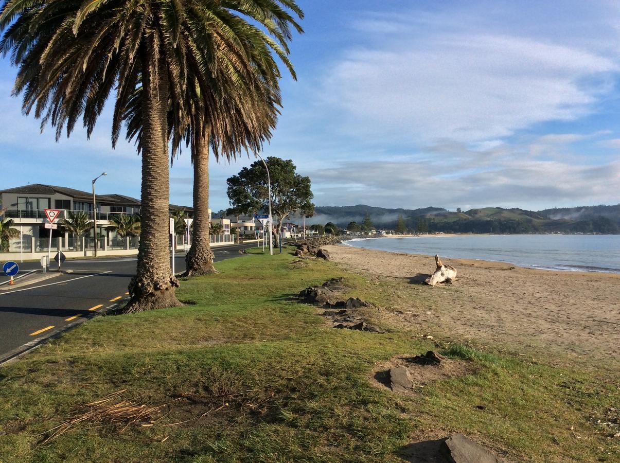 Albert Mews B And B Whitianga Exterior photo